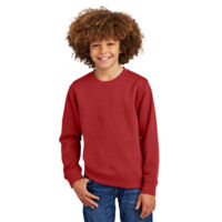 Youth V.I.T. Fleece Crew Thumbnail