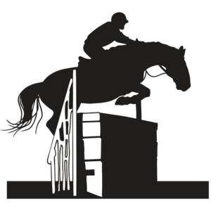 AR EQUEST 20 RC Thumbnail