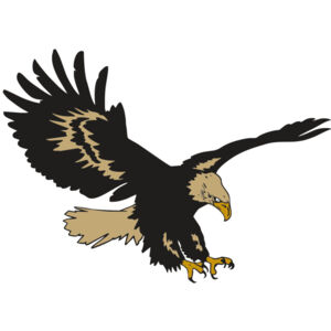 AR EAGLE 47 RC Thumbnail