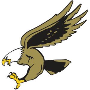 AR EAGLE 23 RC Thumbnail