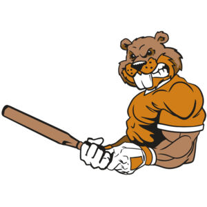 AR4 BEAVER 05 RQC Thumbnail