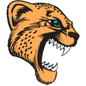 BAW CHEETAH 11 RC Thumbnail