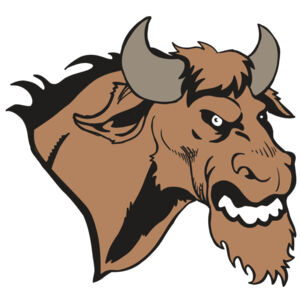 AR5 BULL 09 RQC Thumbnail