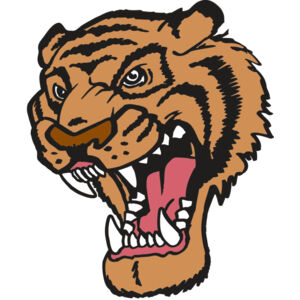 AR TIGER 12 RC Thumbnail