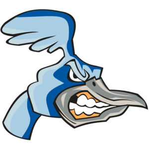 ROADRUNNER HD0503 RQC Thumbnail