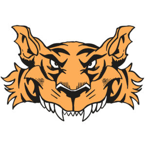 AR5 Tiger 07 RQC Thumbnail