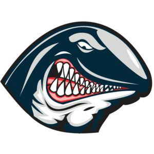 WHALE HD0501 RQC Thumbnail