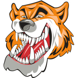 TIGER HD0504 RQC Thumbnail