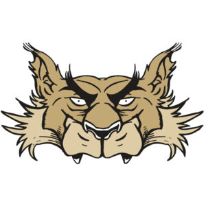 AR5 Wolf 28 RQC Thumbnail