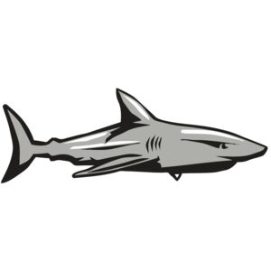 AR9 SHARK 01 RQC Thumbnail