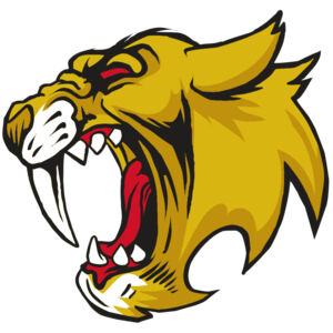 AR30 SABER 04 RQC Thumbnail