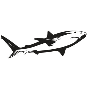 AR5 Shark 15 RQC Thumbnail