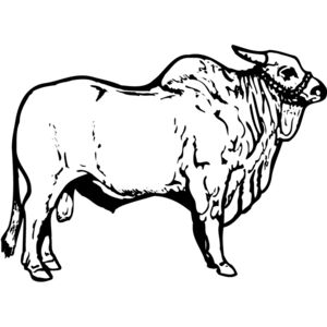 COW018 Thumbnail
