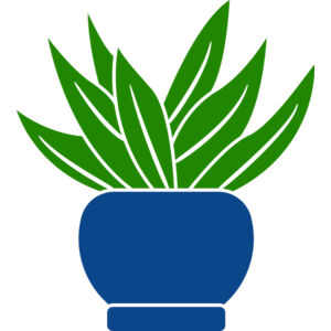 Succulent Plant 2 Thumbnail