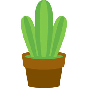 Cactus 1 Thumbnail