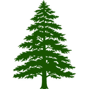 Tree Plant 3 Thumbnail