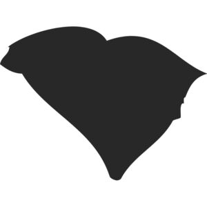 South Carolina Silhouette Thumbnail
