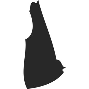 New Hampshire Silhouette Thumbnail