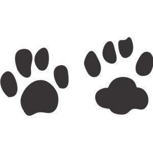 Wild Cat Paw Print 2 Thumbnail