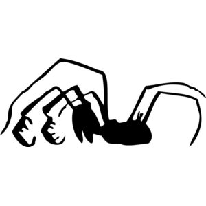 Spider Silhouette 1 Thumbnail
