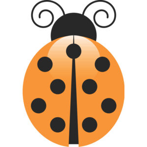 Orange Ladybug 1 Thumbnail