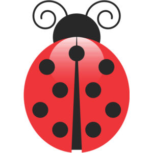Red Ladybug 1 Thumbnail
