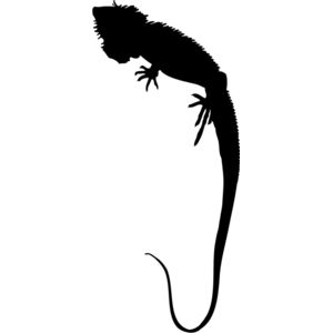 Lizard Silhouette 5 Thumbnail