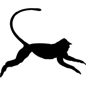 Monkey Silhouette 12 Thumbnail