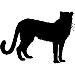 Cheetah Silhouette 2 Thumbnail