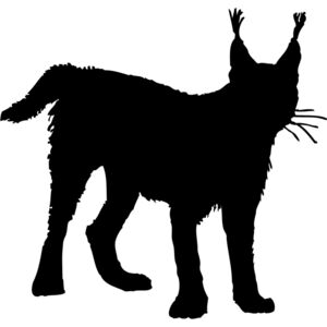 Lynx Silhouette 1 Thumbnail