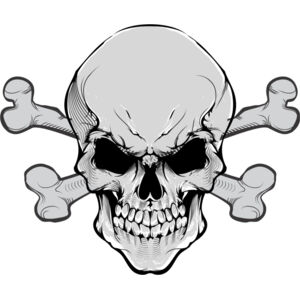 Skull Crossbones 1 Thumbnail