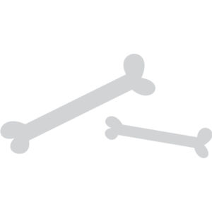 Cartoon Dinosaur Bones 1 Thumbnail