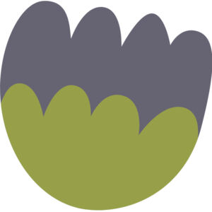 Fall Autumn Tulip Flower 3 Thumbnail