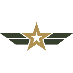 Military Star Wings Emblem 2 Thumbnail