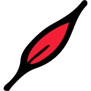 Autumn Fall Leaf 5 Thumbnail