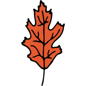 Autumn Fall Leaf 1 Thumbnail