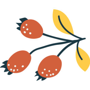 Autumn Fall Leaf Branch 7 Thumbnail