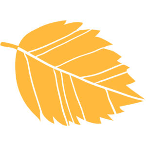 Autumn Fall Leaf 20 Thumbnail