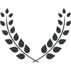 Branch Wreath 62 Thumbnail